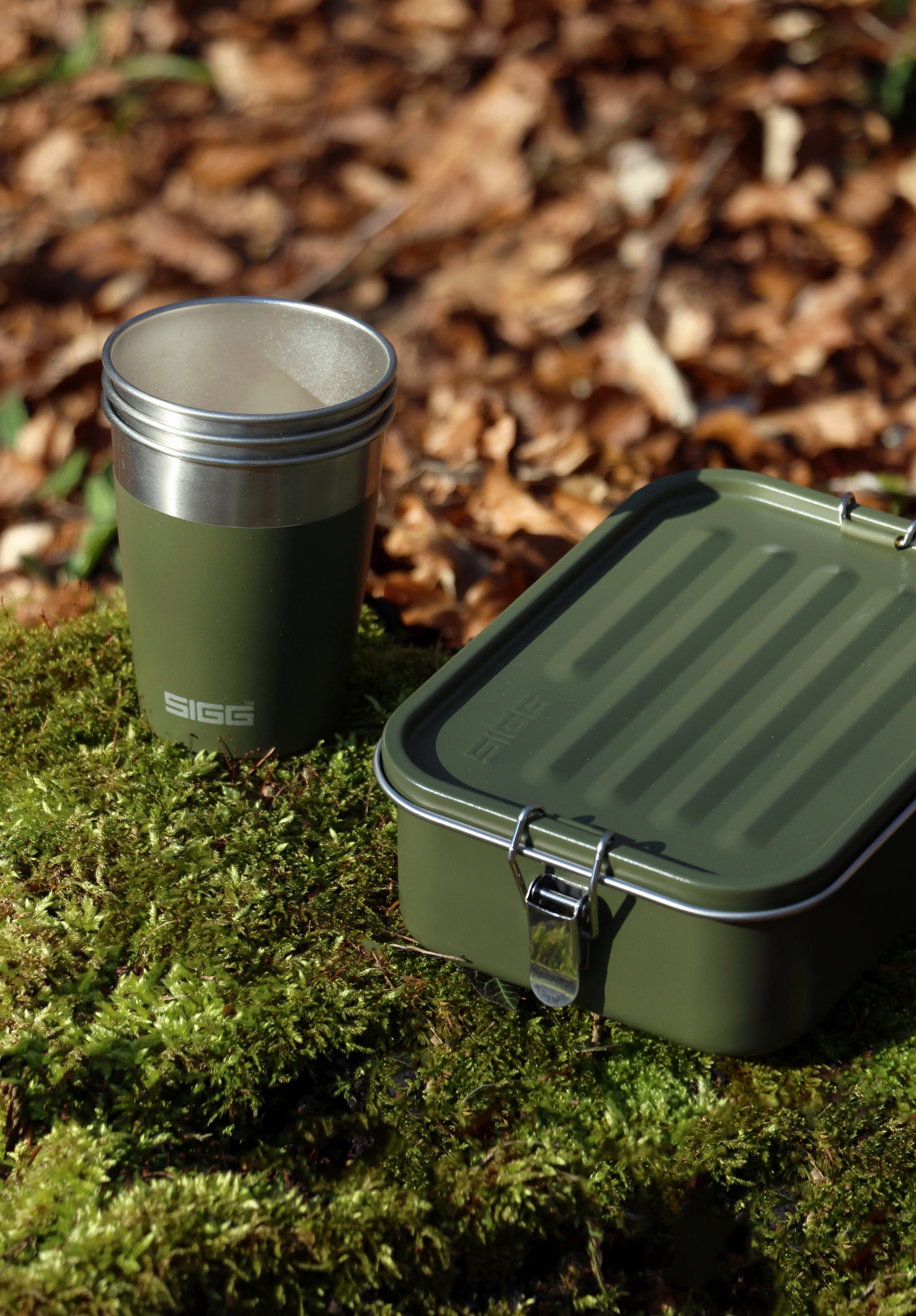 Gemstone Food Box - Image 21