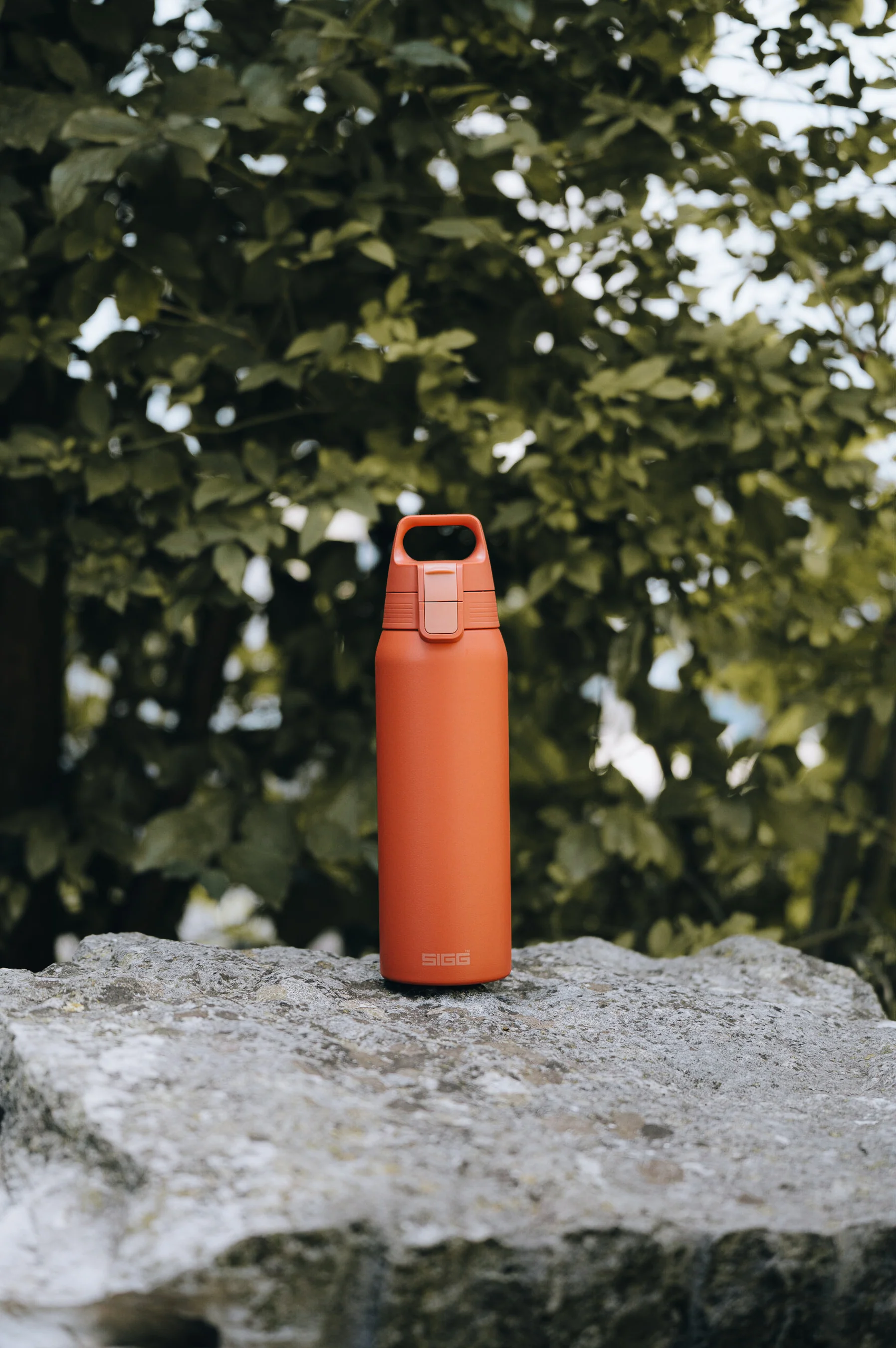 Shield Therm ONE - Image 202