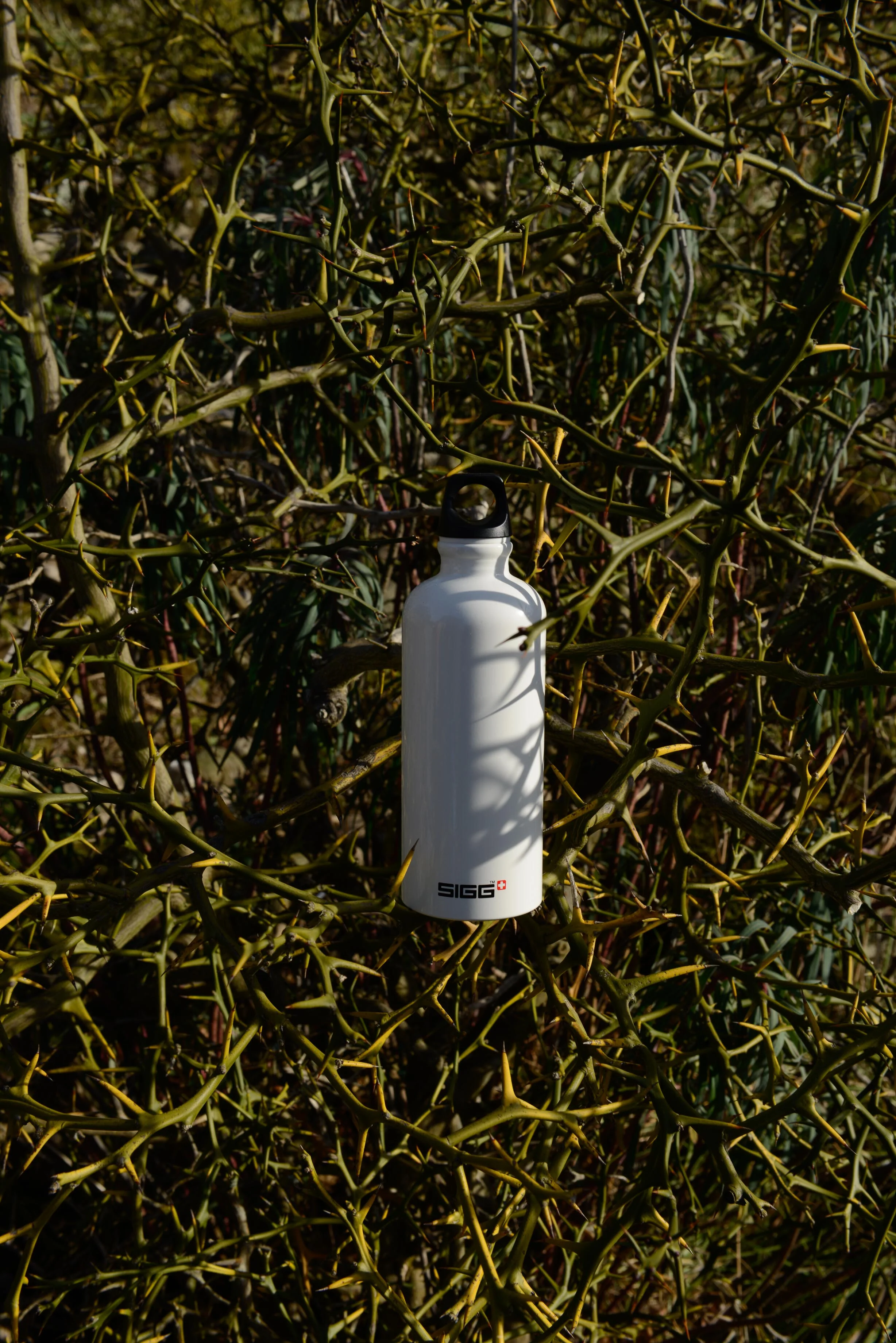 Traveller - Image 55