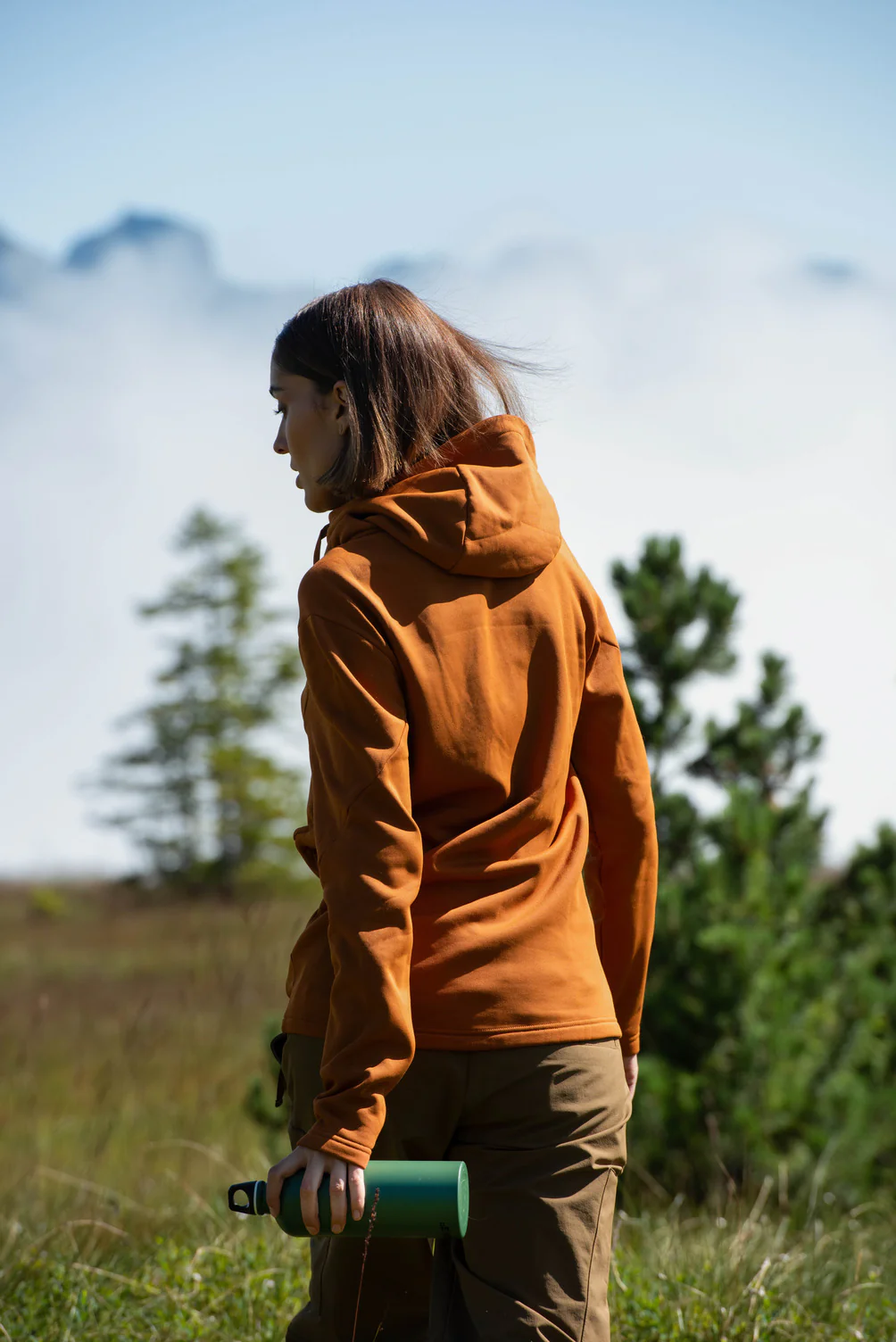 Traveller - Image 4
