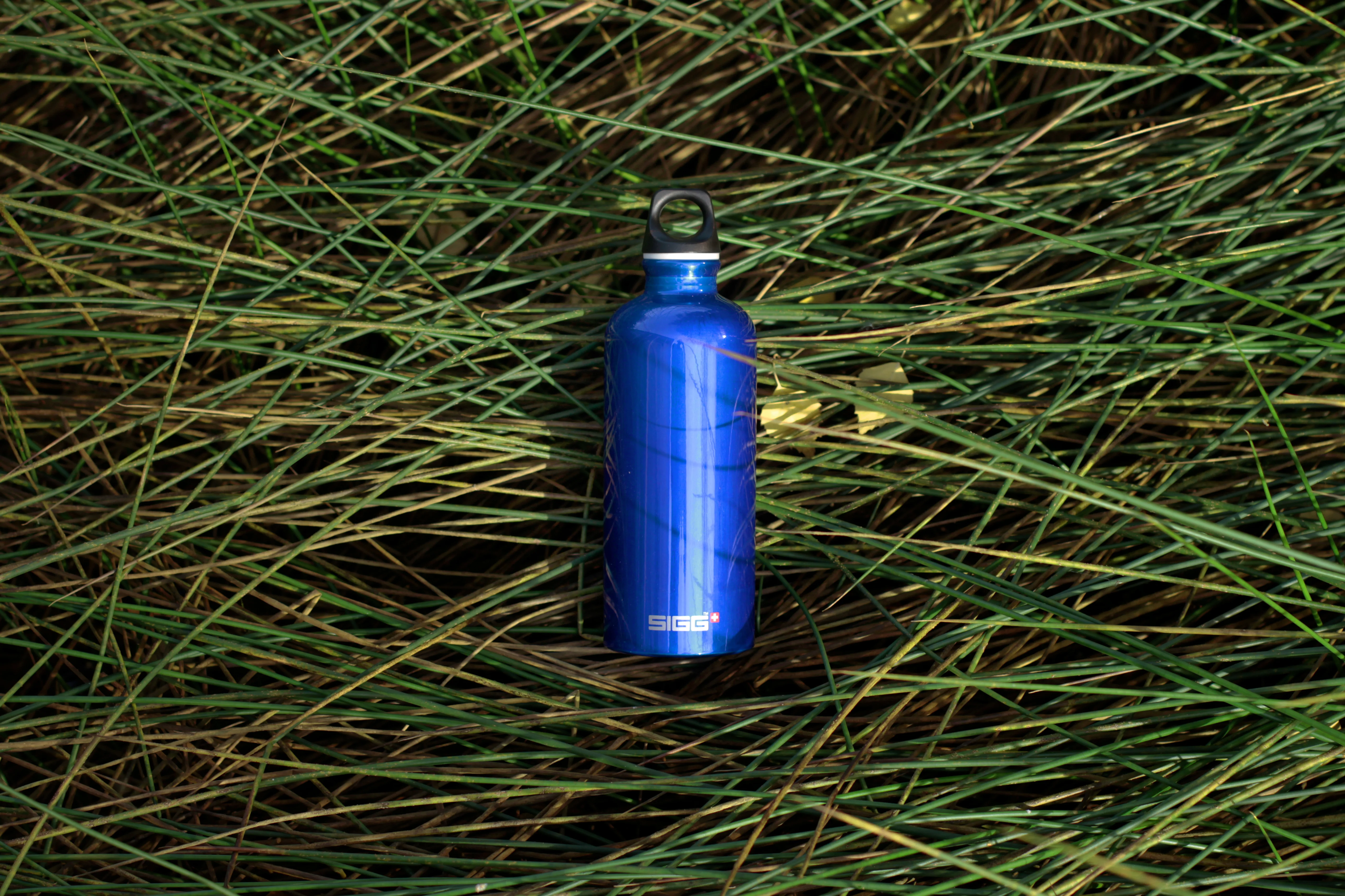 Traveller - Image 57